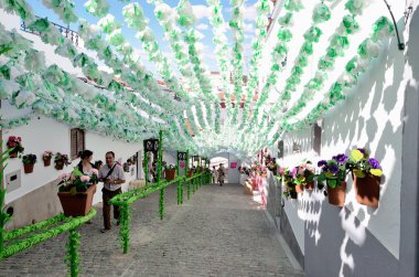 Çiçek Festivali (festas do povo, Campo Maior 2015, Portekiz)