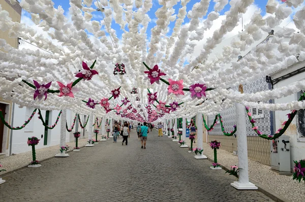 Květinový festival (festas do povo, Campo Maior 2015, Portugalsko) — Stock fotografie