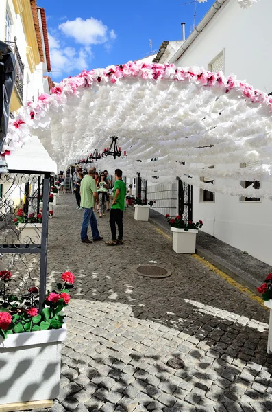 Flower Festival (festas do povo, Campo Maior 2015, Portugal) — Stock Photo, Image