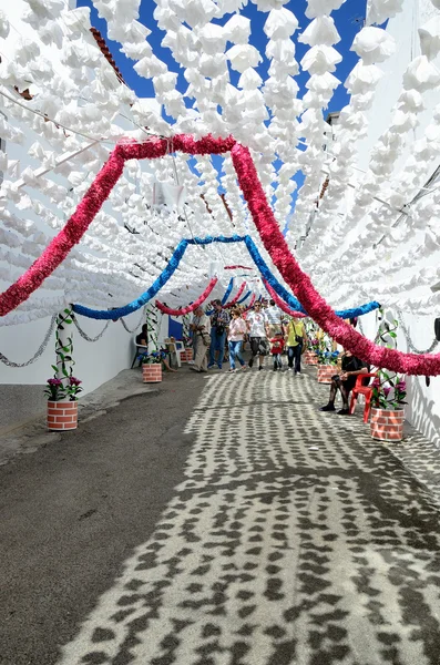 Flower Festival (festas do povo, Campo Maior 2015, Portugal) — Stock Photo, Image