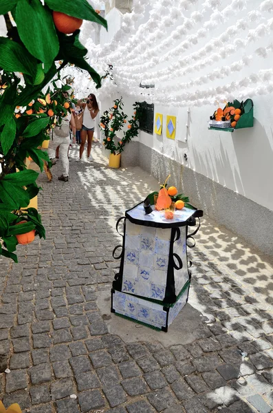 Flower Festival (festas do povo, Campo Maior 2015, Portugal) — Stock Photo, Image