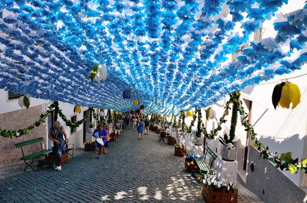 花节(festas do povo, Campo Maior 2015, Portugal)) — 图库照片