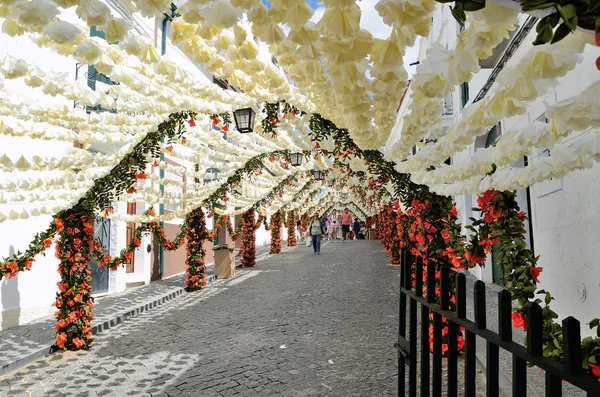 Virágfesztivál (festas do povo, Campo Maior 2015, Portugália)) — Stock Fotó