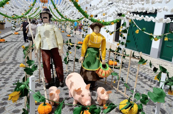 Flower Festival (festas do povo, Campo Maior 2015, Portugal) — Stock Photo, Image