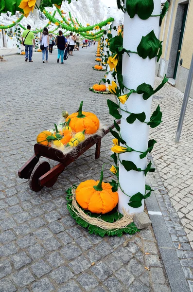 Blumenfest (festas do povo, Campo Maior 2015, Portugal) — Stockfoto