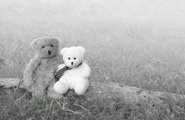 Deux ours en peluche étreignant et assis sur le bois dans la prairie — Photo