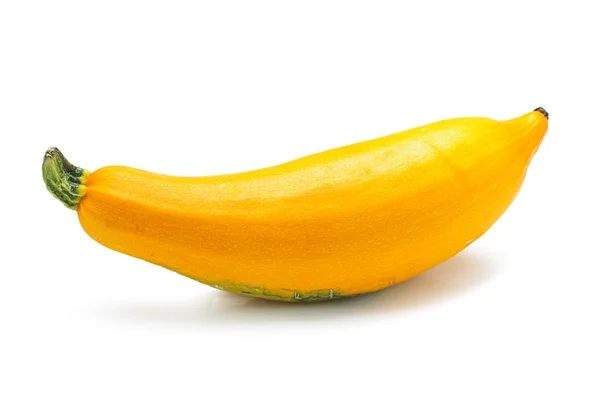 Gyllene gul zucchini isolerat på den vita bakgrunden — Stockfoto