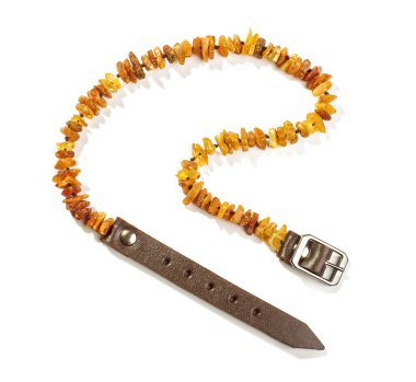 Baltık amber pet yaka üzerinde beyaz izole