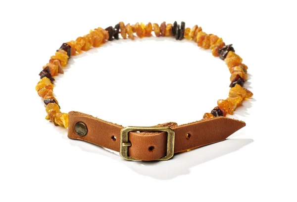 Flea and tick amber collar for pets — Stock Photo, Image