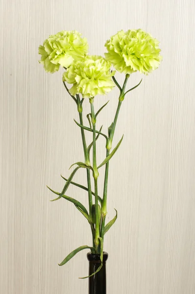 Three carnation flowers in the vase — Stock Photo, Image