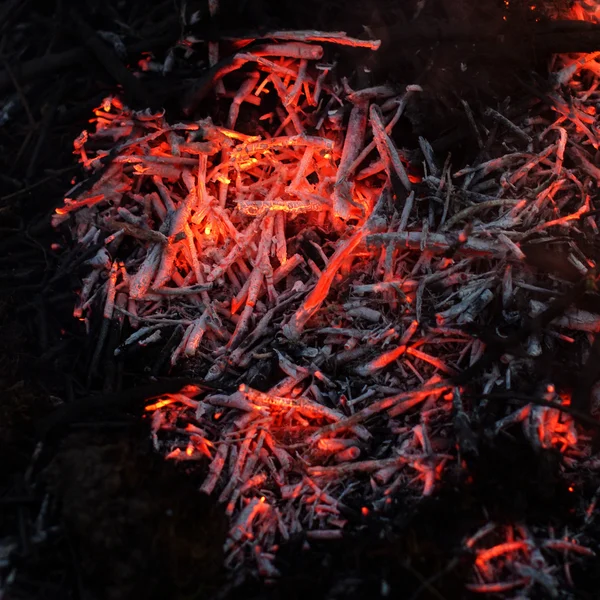 熱い燃やされた木の枝をクローズ アップ — ストック写真