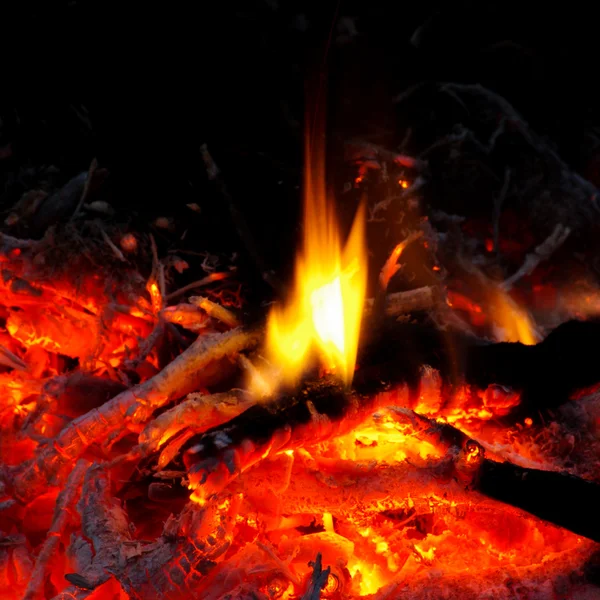 Tűz- és Izzó fadarab közelről — Stock Fotó
