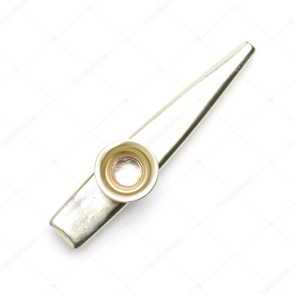 Kazoo musical instrument isolated top view