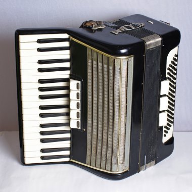 siyah vintage akordeon