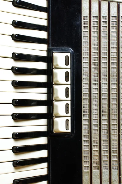 Accordion keyboard closeup — Stock Photo, Image