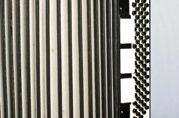 Accordeon abstract horizontale — Stockfoto