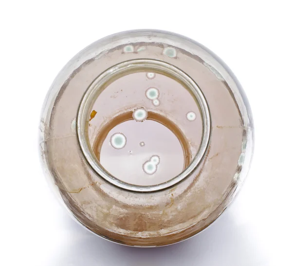 Mold in the jar of juice — Stock Photo, Image