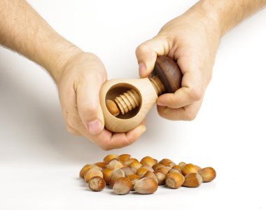 Male hands cracking hazelnuts clipart