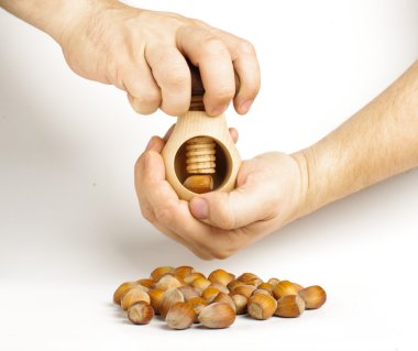 Hazelnuts cracking process clipart