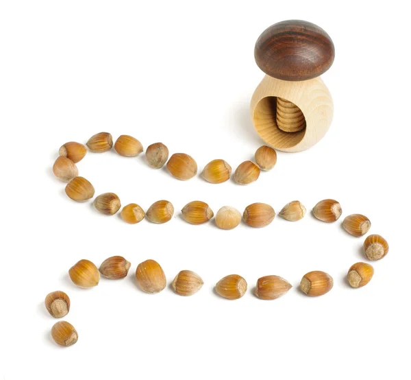Line of hazelnut moving to cracker — Stock Photo, Image
