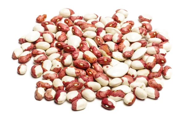 Pile of Painted Pony beans on the white background — Stock Photo, Image