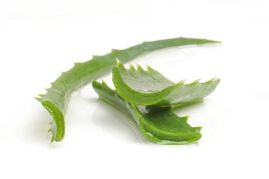 Beyaz arka plan üzerinde izole aloe yaprak