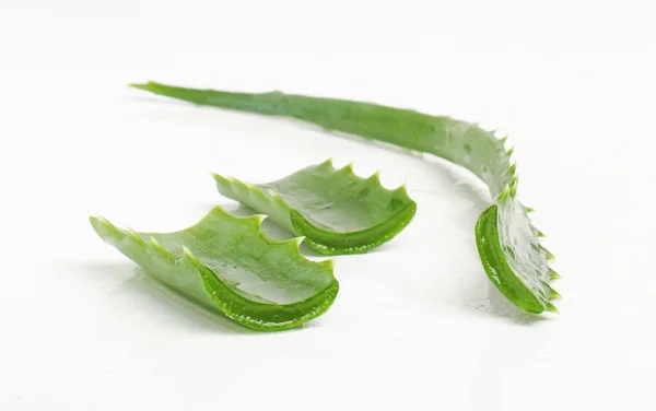 Cut aloe vera leaf — Stock Photo, Image