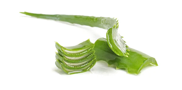 Aloe leaf isolated on the white background — Stock Photo, Image