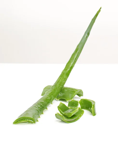 Aloe vera on the white table — Stock Photo, Image