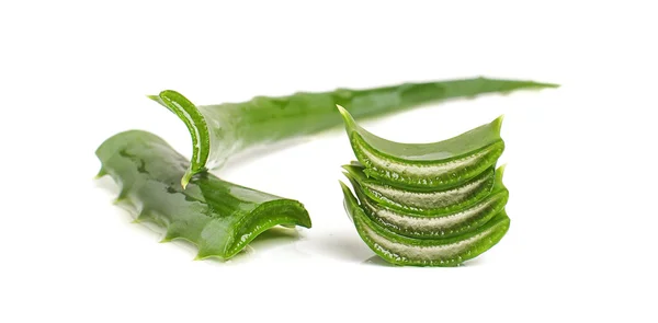 Aloe vera leaf sliced — Stock Photo, Image