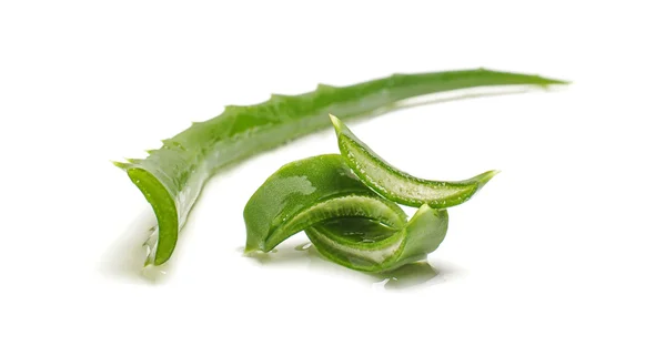 Natural cut aloe vera leaf — Stock Photo, Image