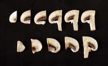 Siyah arka plan üzerine izole dilimlenmiş Champignon mantar dizisi