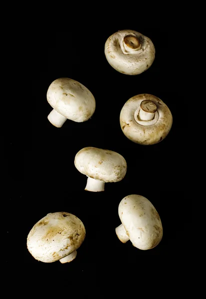 Raw champignon mushrooms on the dark background — Stock Photo, Image