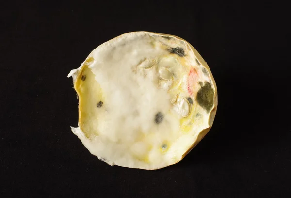 Top view of moldy rotten vegetable — Stock Photo, Image