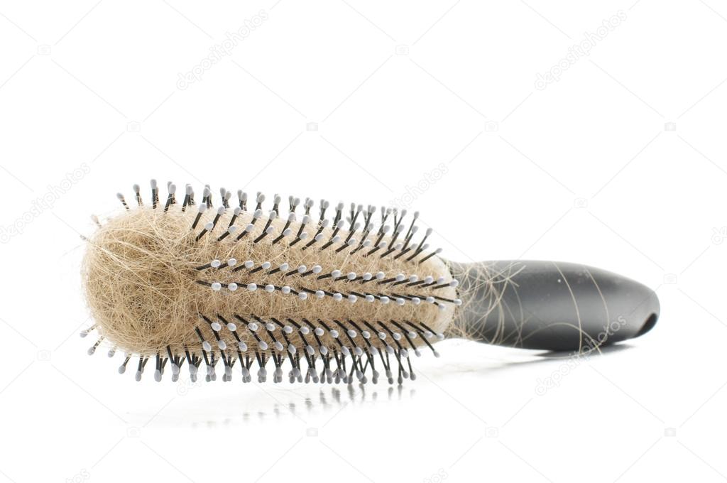 Loosing hair concept hairbrush with hairs isolated on the white background with copyspace