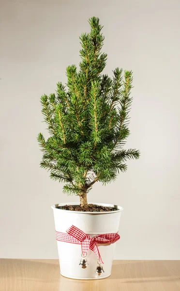 Miniatuur kerstboom op tafel ingegoten Stockfoto