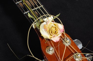 Akustik gitar ve solmuş gül çiçek