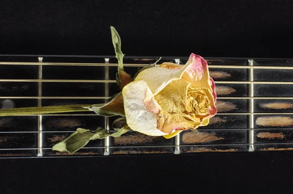 Rosa appassita fiore sulla tastiera chitarra isolato — Foto Stock