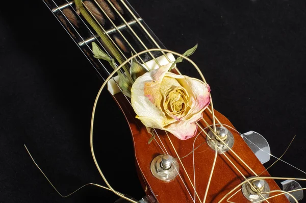 アコースティック ギターとしおれたバラの花 — ストック写真