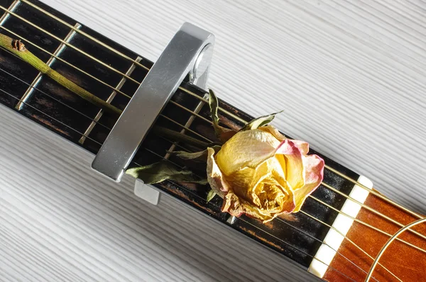 Fretboard chitarra acustica e fiore di rosa sbiadito — Foto Stock