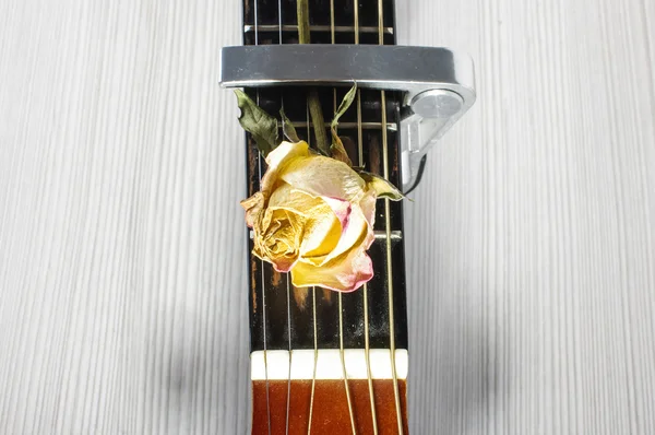 Guitarra acústica y capo en la flor rosa descolorida —  Fotos de Stock