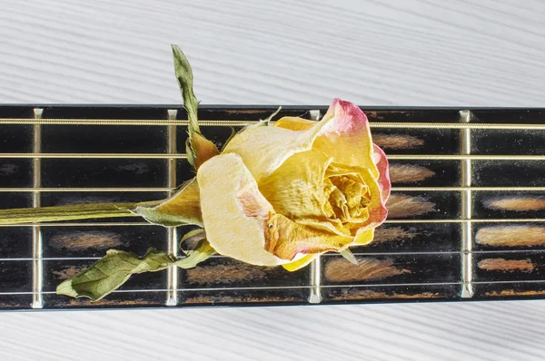 分離されたギターのフレット ボードにバラの花をしおれ — ストック写真