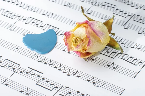 Faded rose bloom and guitar pick on sheet music notes — Stock Photo, Image