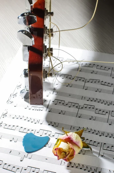 Цветок сухой розы на гитарных нотах — стоковое фото
