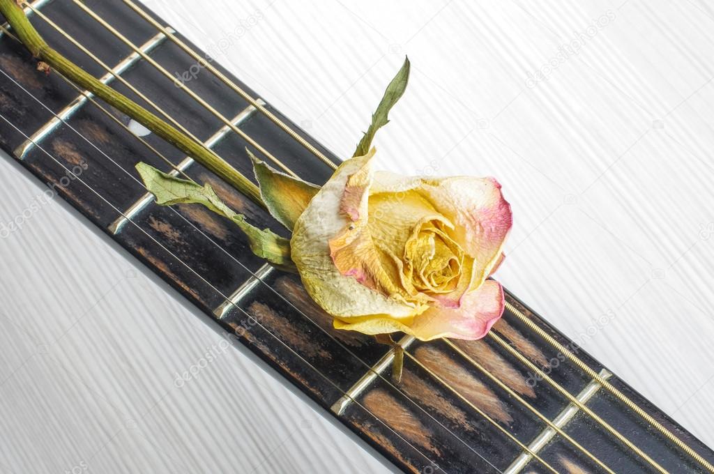 Wilted flower on guitar fret