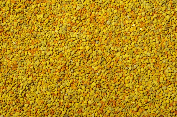 Altın arı polen granül arka plan soyut — Stok fotoğraf