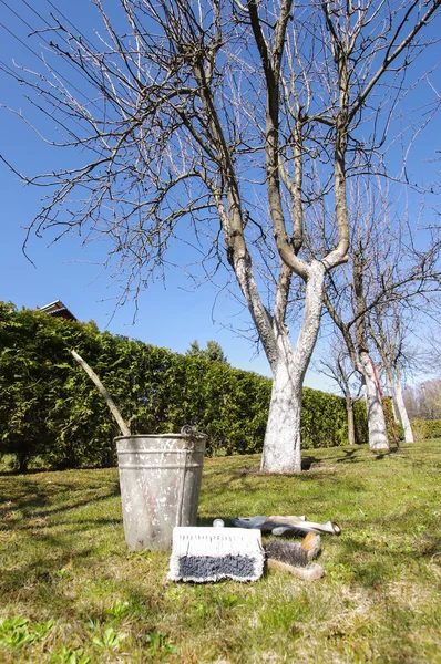 Whitewashing and tree whitening equipment in the garden — Stock Photo, Image