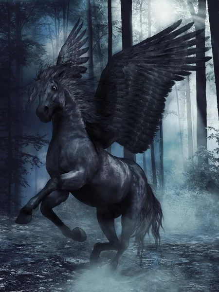 Чорний крилатий кінь — стокове фото