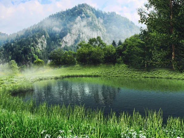 Jezero a louka v horách — Stock fotografie