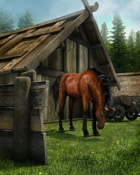 Oude schuur en een paard — Stockfoto
